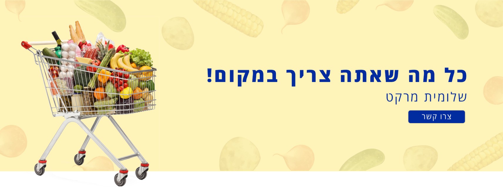 תמונה ללא תיאור